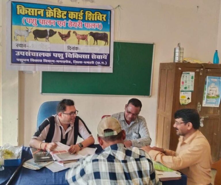 पशुपालन केसीसी से धमतरी के 93 पशुपालकों को मिली 98.62 लाख की वित्तीय संजीवनी, ग्रामीण आजीविका को मिली नई उड़ान…..