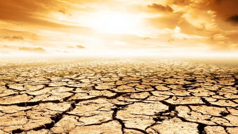 खतरे की घंटी! 2100 तक 40% धरती बन सकती है रेगिस्तान, इंसानों से लेकर पेड़-पौधों तक पर मंडराएगा संकट