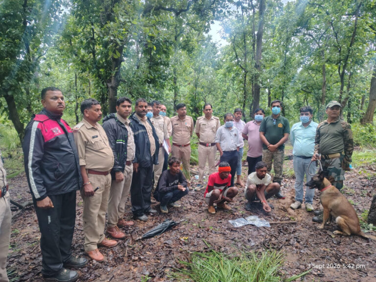 मृत भालू के नाखून काटकर ले जाने वाले दो आरोपी गिरफ्तार, डॉग स्क्वॉड की मदद से हुई पतासाजी, चार नाखून बरामद, वन्यजीव संरक्षण अधिनियम के तहत कार्रवाई…..